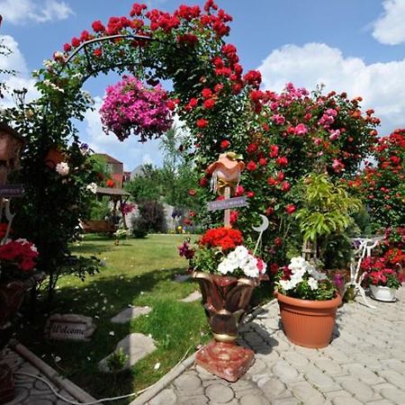 Pensiunea Sofia Timisoara Esterno foto