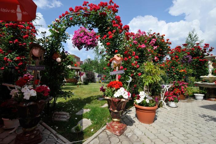 Pensiunea Sofia Timisoara Esterno foto