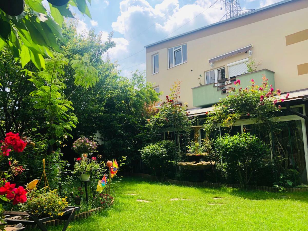 Pensiunea Sofia Timisoara Esterno foto