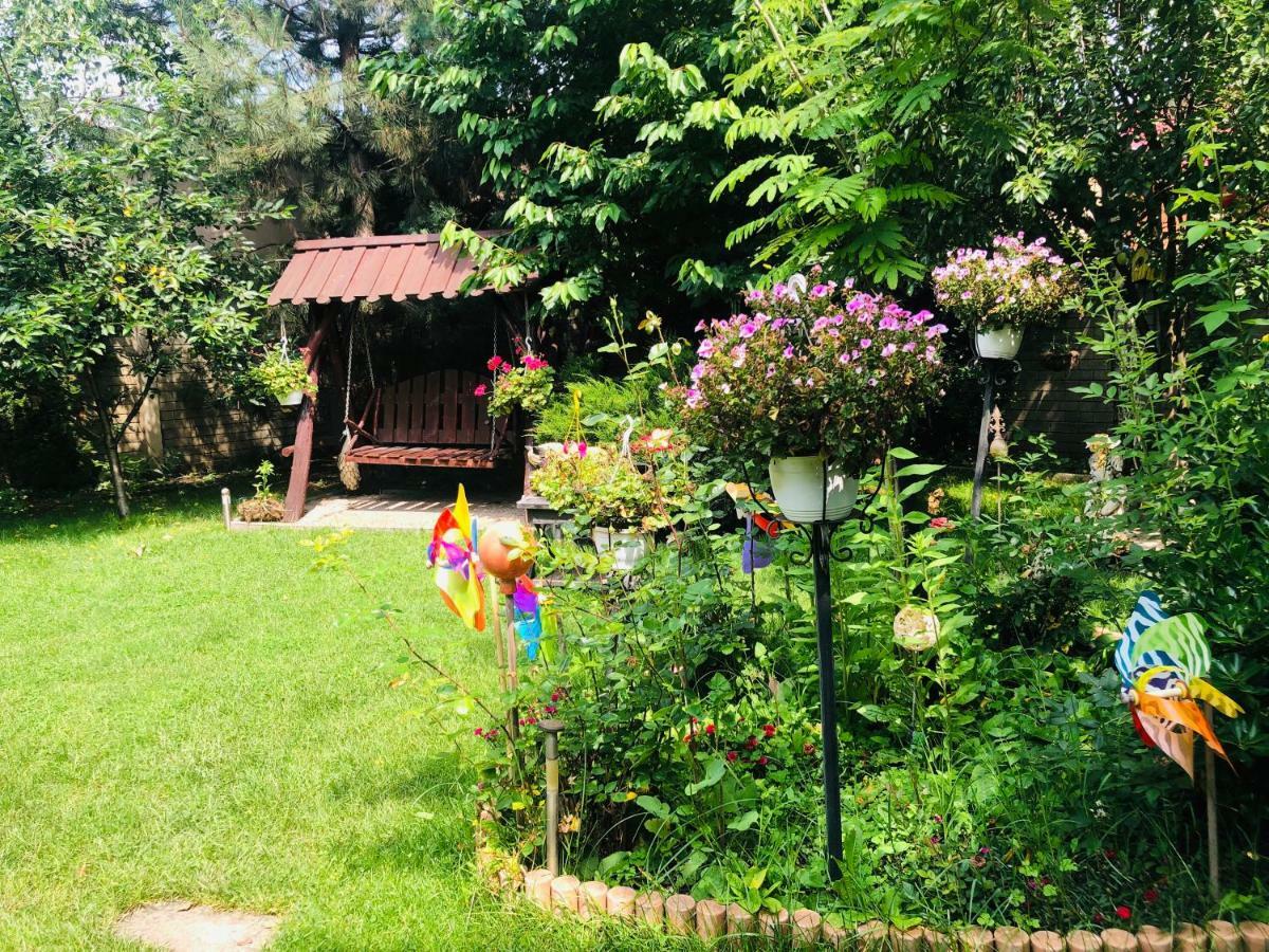 Pensiunea Sofia Timisoara Esterno foto